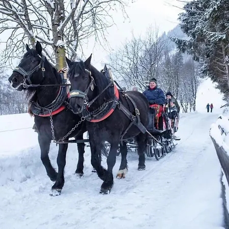 Apartmán Isabella 5 *