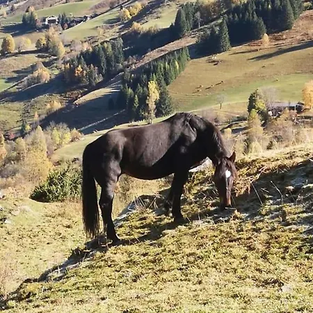 Isabella 5 Appartamento