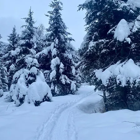 Appartamento Isabella 5