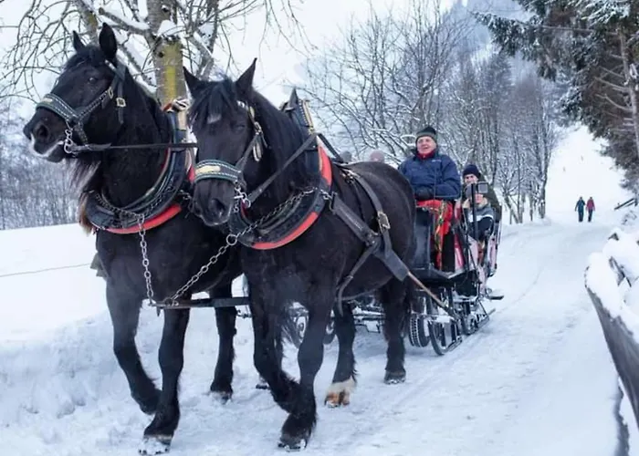 Appartement Isabella 5 *