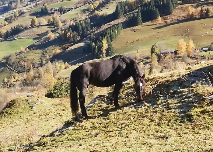 Isabella 5 Appartement