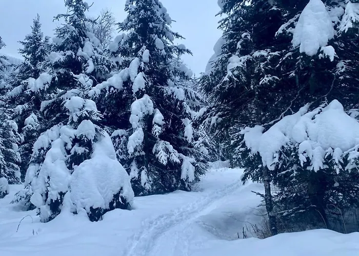 Appartement Isabella 5